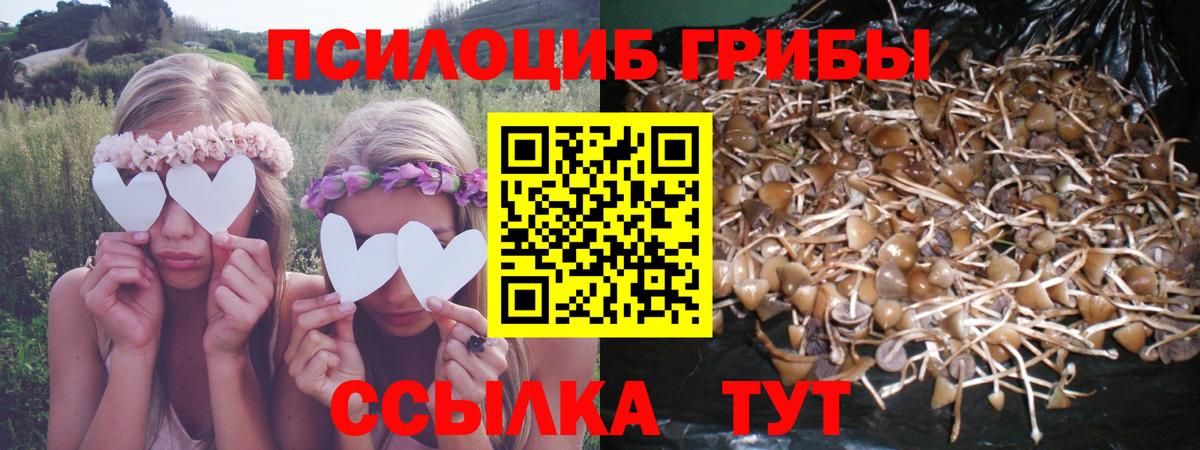 Псилоцибиновые грибы мухоморы Лениногорск